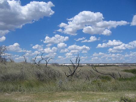 Cartoon- Wolken am Himmel ueber Lancelin