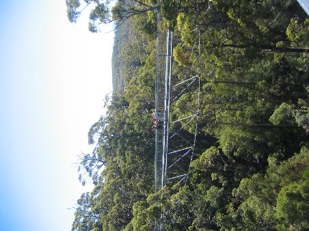 Tree Top Walk- leider auch noch schief