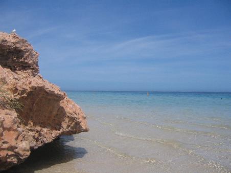 Coral Bay (Ningaloo Reef)