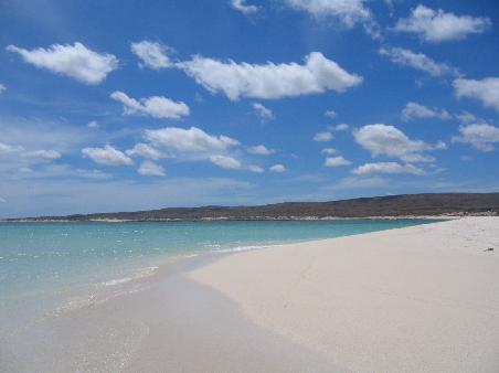 Turqoise Bay (Ningaloo Reef )
