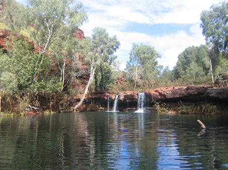 Fern Pool- Karijini
