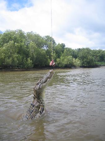 Jumping Croc im Adelaide River