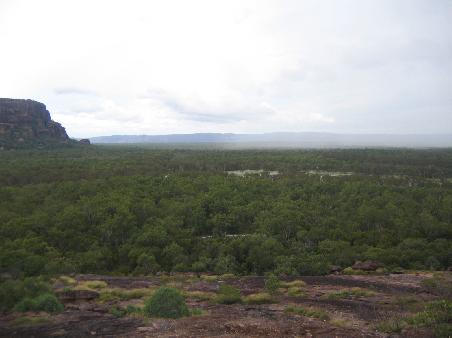 Aussichten ueber Kakadu