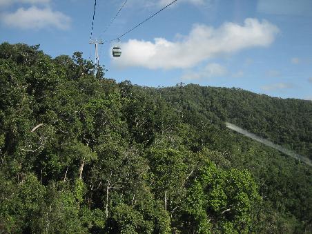 Aussichten aus der Skyrail