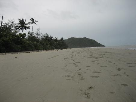 Cape Tribulation