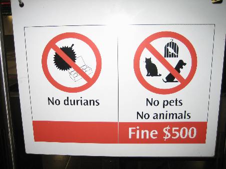 Strengstens verboten: Durian ist eine essbare Frucht , die bis zum Himmel stinkt, pfui..
