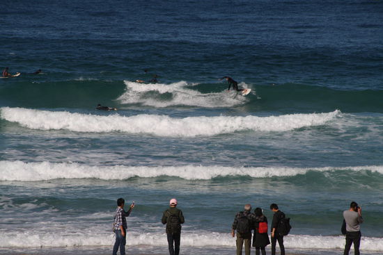 Die Surfer von Bondi
