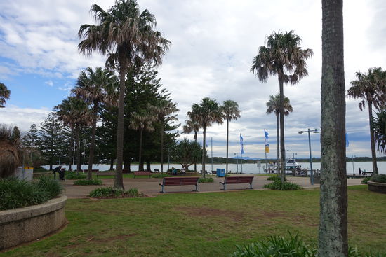 Der kleine Park am Ende der Promenade von Port Macquarie führt direkt in den Ort