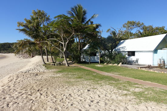 Solche Strand Cabins kann man mieten und sie sind sogar erschwinglich. Auf der Insel gibt es allerdings keinen Supermarkt und man muss sich alles mitnehmen, oder bei den großen Supermärkten wie Coles und Woolworth online bestellen, dann kommt es mit der nächsten Fähre mit.