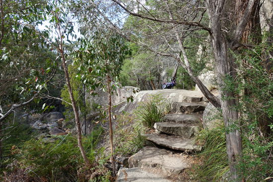 Unseren Kinderwagen mussten wir auf dem 900 m langen Weg zum Venus Bath in den Grampians stehen lassen. Zu viele Stufen und Unebenheiten.
