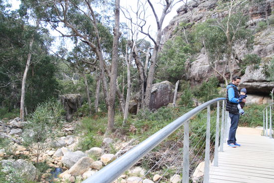 Hier muss wohl das Venus Bath sein, oder gewesen sein. Im Moment ein eher ausgetrocknetes Flußbett, mit ein paar Wasserlöchern. Trotzdem schön