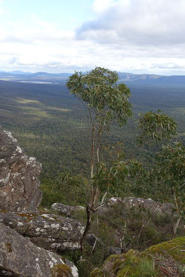 Eine kurvenreiche Straße führte uns durch den Nationalpark zum Reid Lookout, wo uns diese atemberaubende Aussicht erwartete