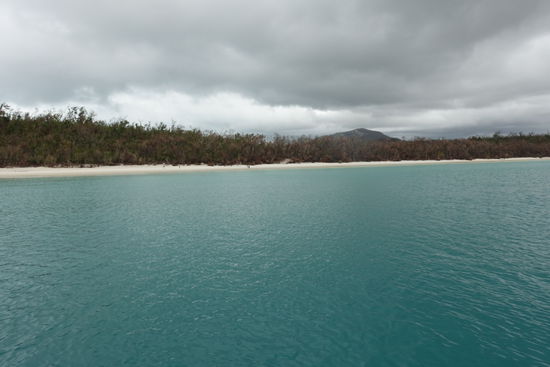 Man stelle sich bitte blauen Himmel und Sonne vor - ein wahrer Traumstrand der Whitehaven Beach.