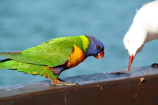 So geht es auch gemeinsam 