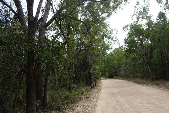 Eine unbefestigte Straße zum Westpoint der Insel. Mit unserem Allradauto keine Problem. 8 km schlängelte sich die Straße weit weg der Zivilisation von Picnic Bay. Drei, vier Häuser stehen hier am Westpoint.