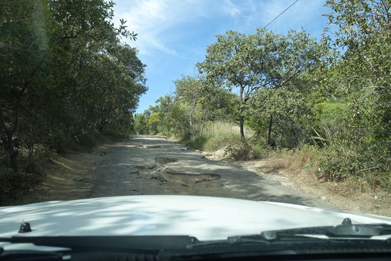 Auf dem unbefestigten Weg zu drei etwas abgelegenen Buchten. 
Ausdrücklich vom Vermieter erlaubte Straße. Als wir die Straße anfuhren war es bereits zu spät umzukehren. Es ging steil bergab und erst dann sah man diese massiven Krater, die zu umfahren viel Geschicklichkeit von Lars abverlangte. Wir hätten schon stutzig werden müssen, als der Riesengeländewagen vor uns langsam fuhr und dann einige Zeit stehen blieb. Der Fahrer überlegte sich wahrscheinlich auch gerade eine Route. Wir waren noch nie auf so einer schlimmen Straße. Ich hatte Lars noch gebeten, irgendwie wieder umzudrehen, was er auch versuchte, aber nicht möglich war. Also Augen zu und durch. Mir war nur schon bange vor dem Rückweg - aber wir hatten ja einen 4WD. Nun wollten wir noch die schönen Buchten von Radical Bay, Florence Bay und Arthur Bay sehen. Die entfernteste Radical Bay haben wir dann kurz vorher aufgegeben, weil wir nicht wussten, wie sich die Straße noch zum schlechteren verändern würde. Die beiden anderen Buchten waren sehr schön und natürlich den Umständen entsprechend rar besucht. Aber anscheinend trauten sich auch Leute im normalen Auto dorthin. An der Stelle, an der das Foto aufgenommen wurde brauchte Lars mehrere Anläufe. Immer wieder ging der Motor aus. Er musste quasi schräg zwischen zwei Kratern durch, falls das irgendwie zu erkennen ist. Wir kamen ganz schön ins Schwitzen, aber Lars hat uns da rausgefahren. 
Hinterher erfuhren wir den von uns vermuteten Grund für den schlechten Zustand der Straße. Touristen sind dort nicht erwünscht, weil Radical Bay im Privatbesitz ist und es herrscht noch Streit zwischen dem Eigentümer und der Gemeinde.