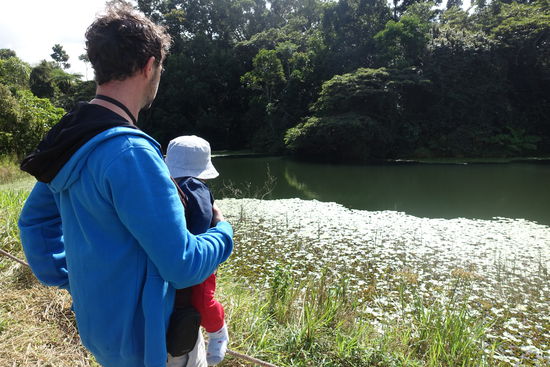 Looking for Platypus im Seerosenteich