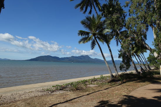 Der schönste Rastplatz in Cardwell mit Blick auf Hinchinbrook Island. Allerdings wird vor schwimmen wegen der Krokodile gewarnt.