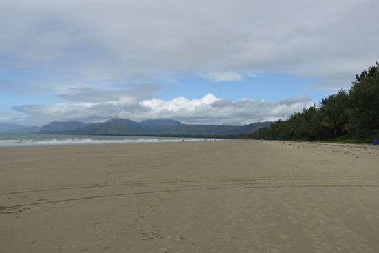 Regenwald trifft Riff in Port Douglas