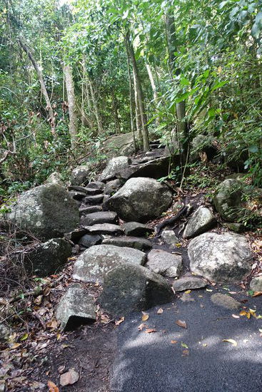 Ein steiniger Weg führte zum Nudes Beach. Teilweise feucht und rutschig