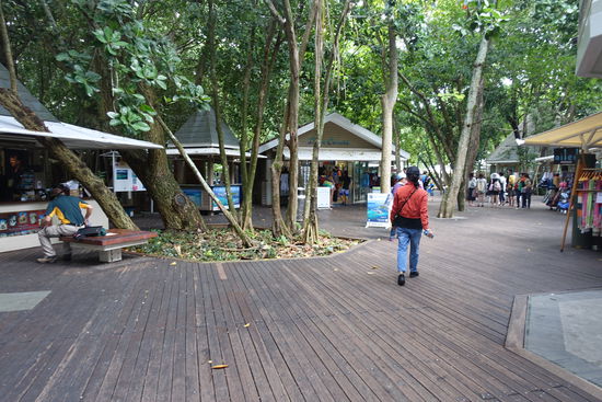 Der öffentliche Teil des Resorts, ein Schnorchelverleih, Gastronomie, eine Boutique, ein Massagesalon, eine Eisdiele