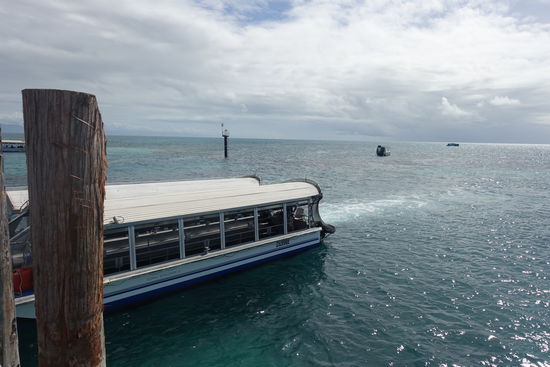 Die Fährfahrt beinhaltete entweder das Ausleihen von Schnorchel Equipment oder eine Glasbodenboottour. Da wir unseren eigenen Schnorchel hatten, sahen wir drei die Unterwasserwelt durch das Glasbodenboot. Besonders beeindruckt waren wir von den Schildkröten, die teilweise auch auftauchten und den Riesenmuscheln.