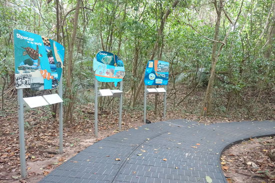 Der informative Boardwalk