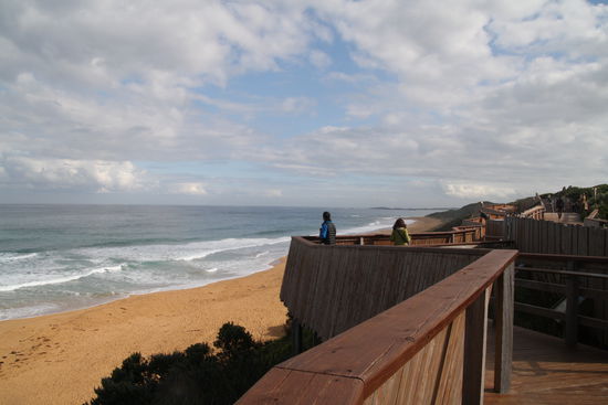 Whalewatching in Warrnambool
