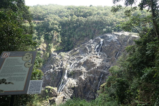 Zwischendurch konnten wir an verschiedenen Stationen aussteigen und an Lookouts in die riesige Schlucht schauen. 
Die Barron Falls: In der Regenzeit ist der Felsen komplett vom tosenden Wasserfall überspült.