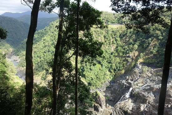 Blick in die Schlucht