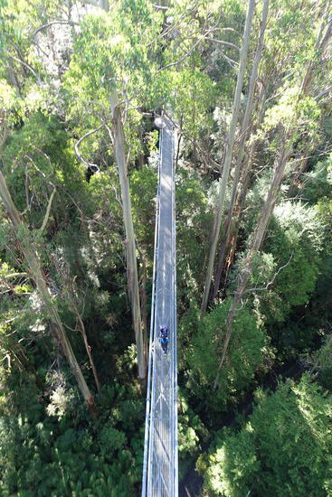 Lars und Emil von oben