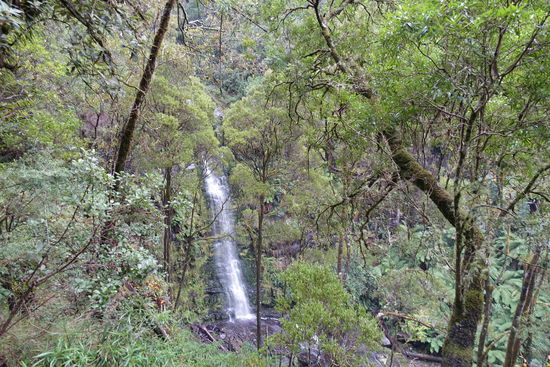 Erskine Falls
