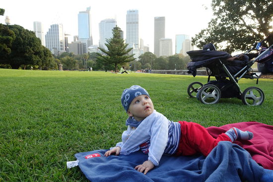 Picnic im botanischen Garten