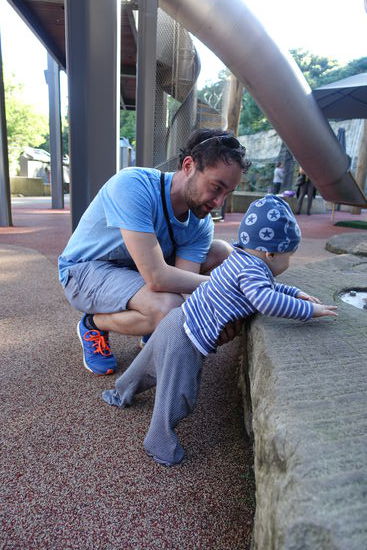 Spielplatz im Taronga Zoo