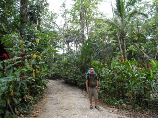 Welcome to the jungle