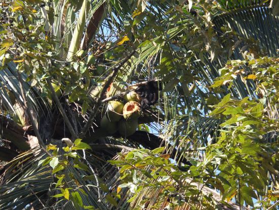 Suchbild I - Es gibt mal wieder ein Bier fuer die richtige Loesung 