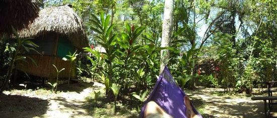 Einfach in der Haengematte chillen und den Bruellaffen zuhoeren 