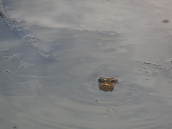 Ihm scheint es zu gefallen