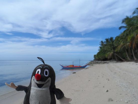 Dem Maulwurf gefaellt es auch