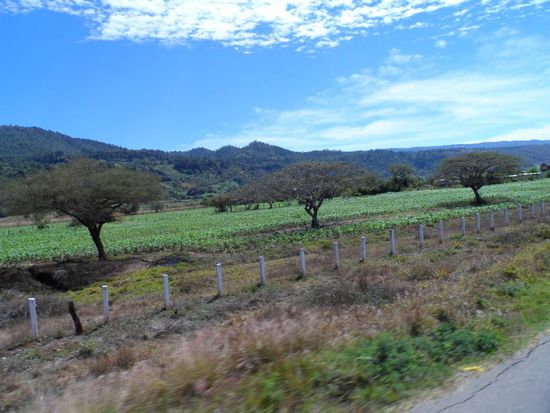 On the road to Teopisca