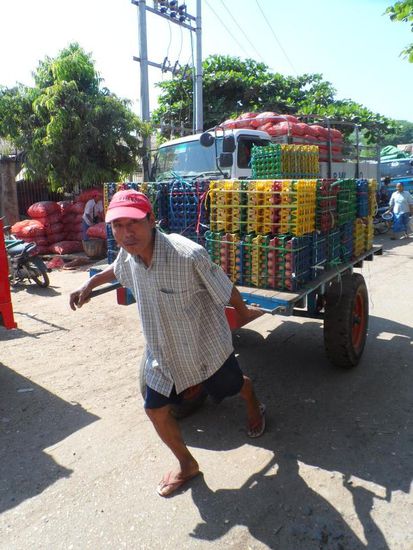 Transport mit eigener Muskelkraft