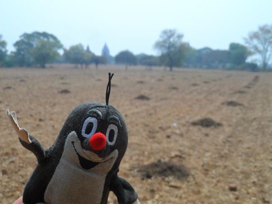 Auch der Maulwurf hatte in Bagan seinen Spass und hat den unterirdischen Teil erkundet