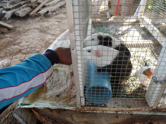 Moment ihr gehoert doch nach Suedamerika