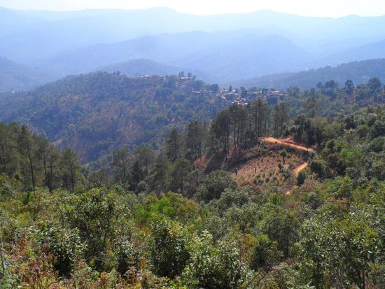 endlich mal ein bisschen Gruen 