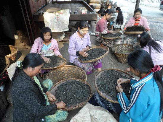 DA haette ich schon erkannt das es Tee ist 