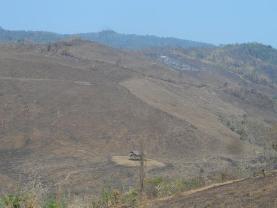Brandrodungen auf dem Rueckweg von Namhsam nach Hsipaw (diesmal in nur 4 Stunden!!! - es ging ja auch bergab 