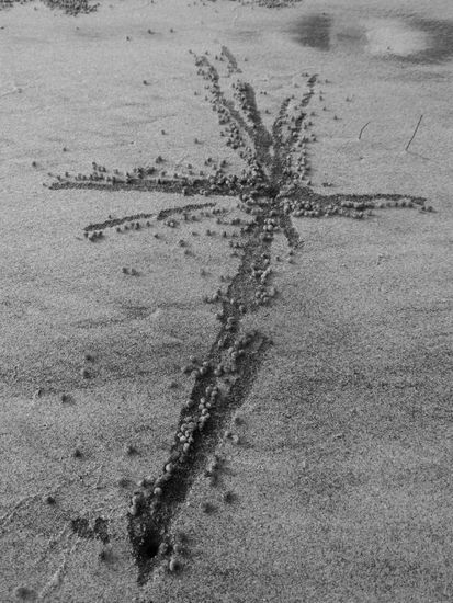 mit einem spezifischen Muster, je nach Strandabschnitt - irre