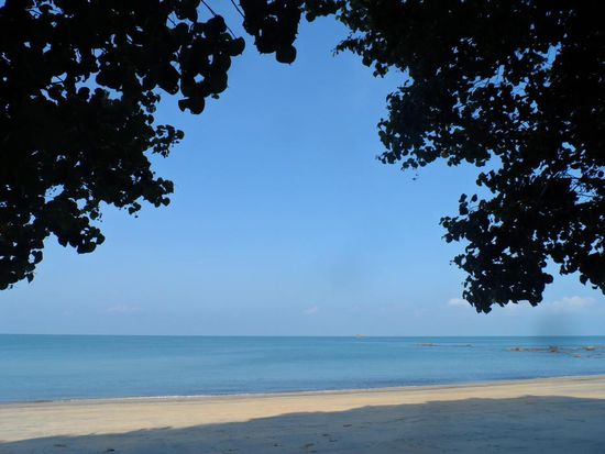 Blick aus meinem Bungalow