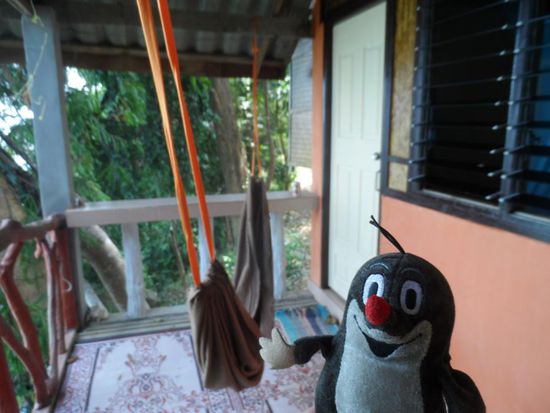 Gleiche Insel, andere Haengematte 