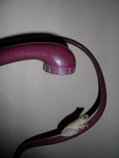 und neue Mitbewohner